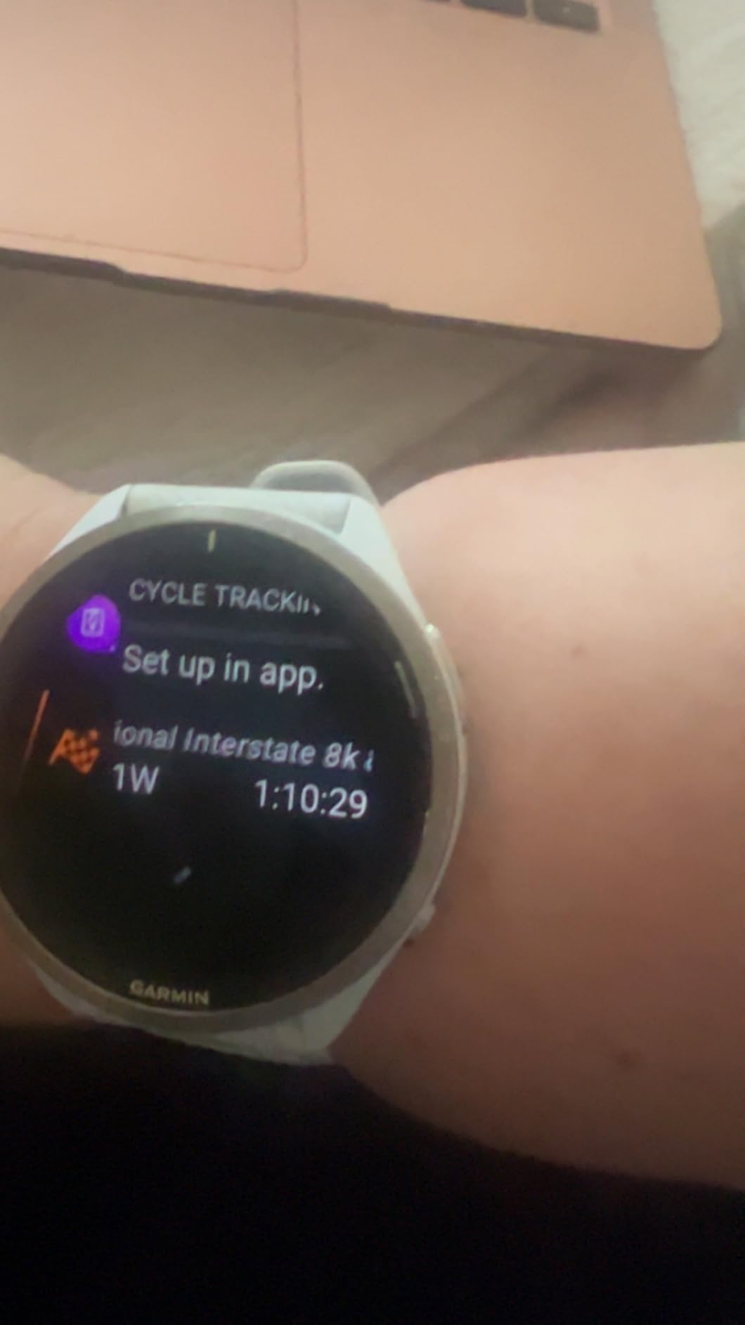 Garmin Forerunner® 965 Running Smartwatch, Colorful AMOLED Display, Training Metrics and Recovery Insights, Black and Powder Gray, 010-02809-00 - Customer Photo 4