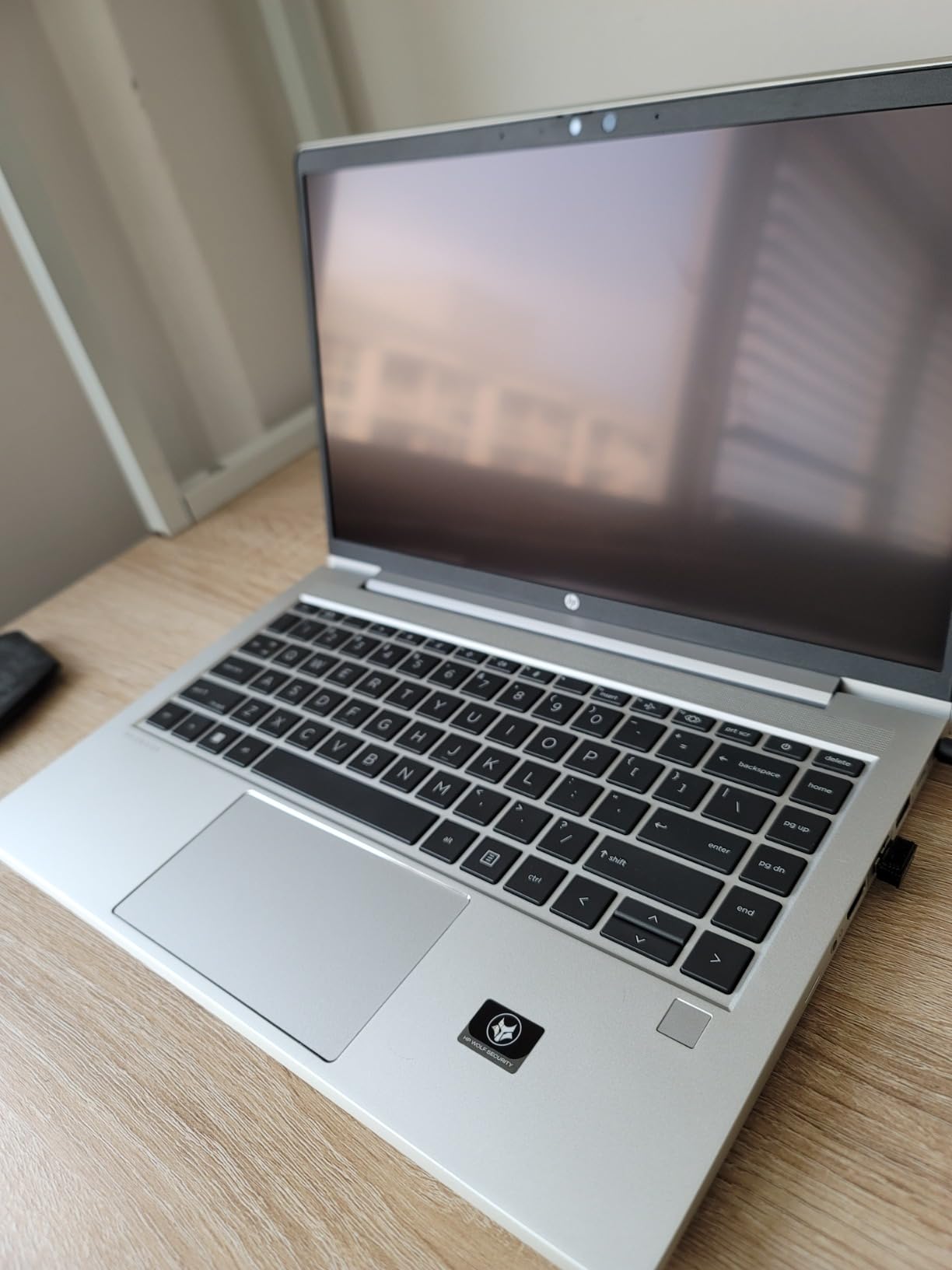 HP ProBook 450 G10 Business Laptop (15.6