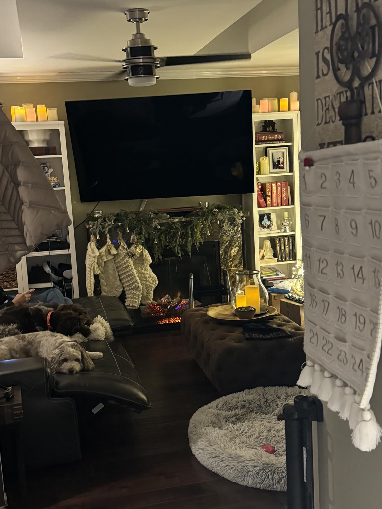 SAMSUNG 75-Inch Class Neo QLED 8K QN800C Series Mini LED Quantum HDR Smart TV with Ultra Slim Design, Dolby Atmos, Object Tracking Sound+, Q-Symphony 3.0, Alexa Built-in (QN75QN800C, 2023 Model) - Customer Photo 5