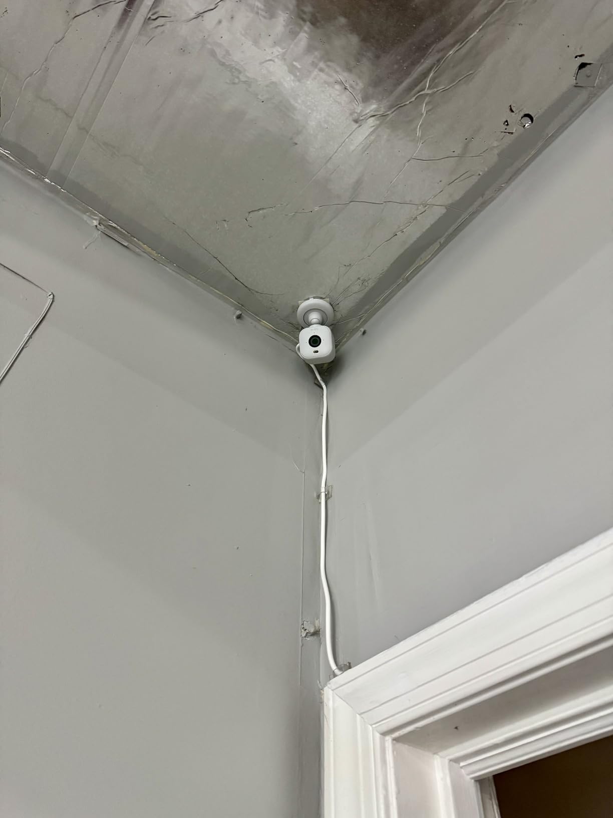 Blink Mini 2 — Home Security & Pet Camera with HD video, color night view, motion detection, two-way audio, and built-in spotlight — 1 camera (White) - Customer Photo 3