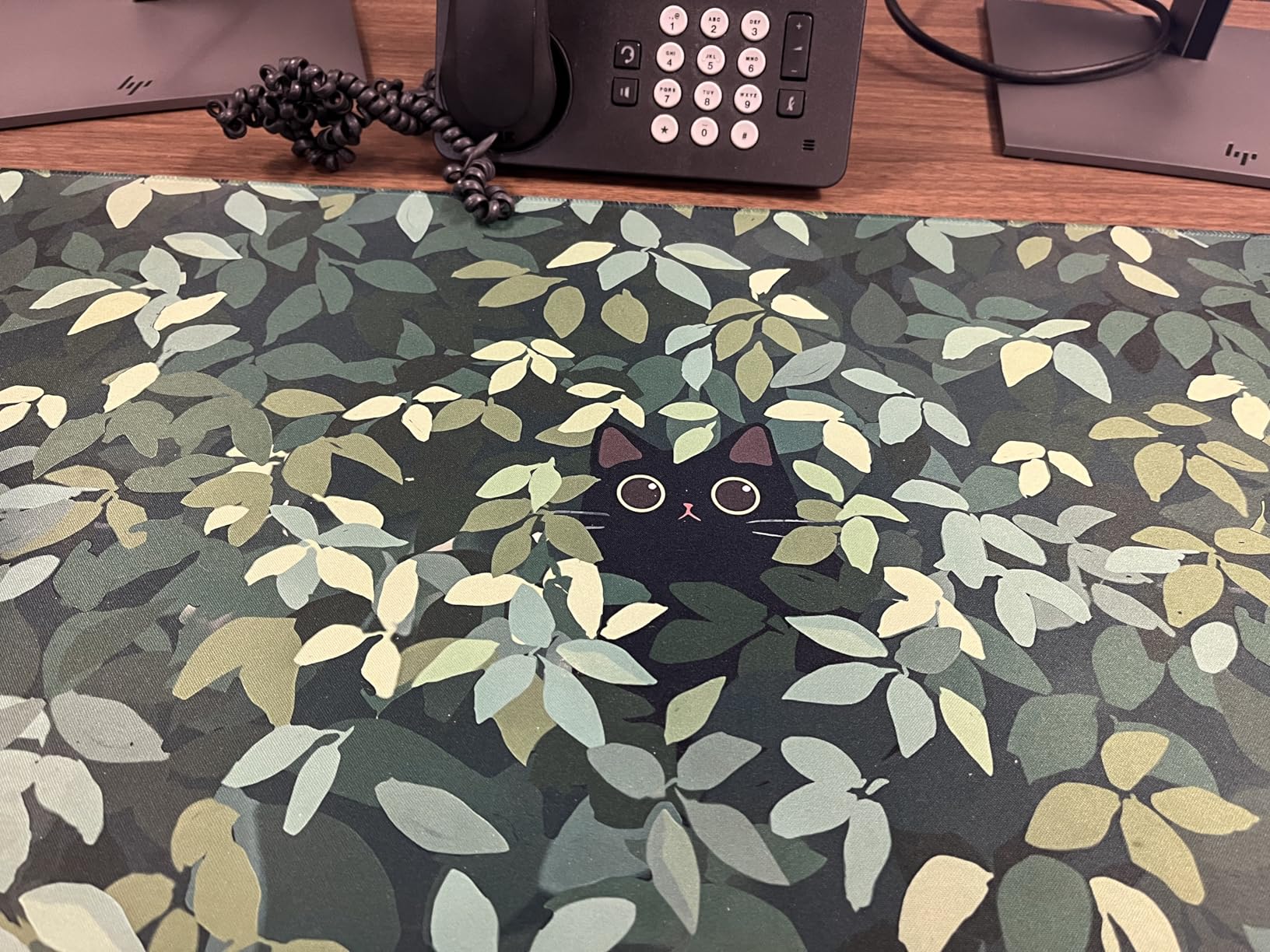 Cute Frog Kawaii Green Desk Decor Mat, Large Gaming Mouse Pad for Computer Keyboard Laptop, Home Office Accessories for Girl (31.5x15.7 in)-with Stitched Edges Pad Customer Review Cute Frog Kawaii Green Desk Decor Mat, Large Gaming Mouse Pad for Computer Keyboard Laptop, Home Office Accessories for Girl (31.5x15.7 in)-with Stitched Edges Pad - Customer Photo 2