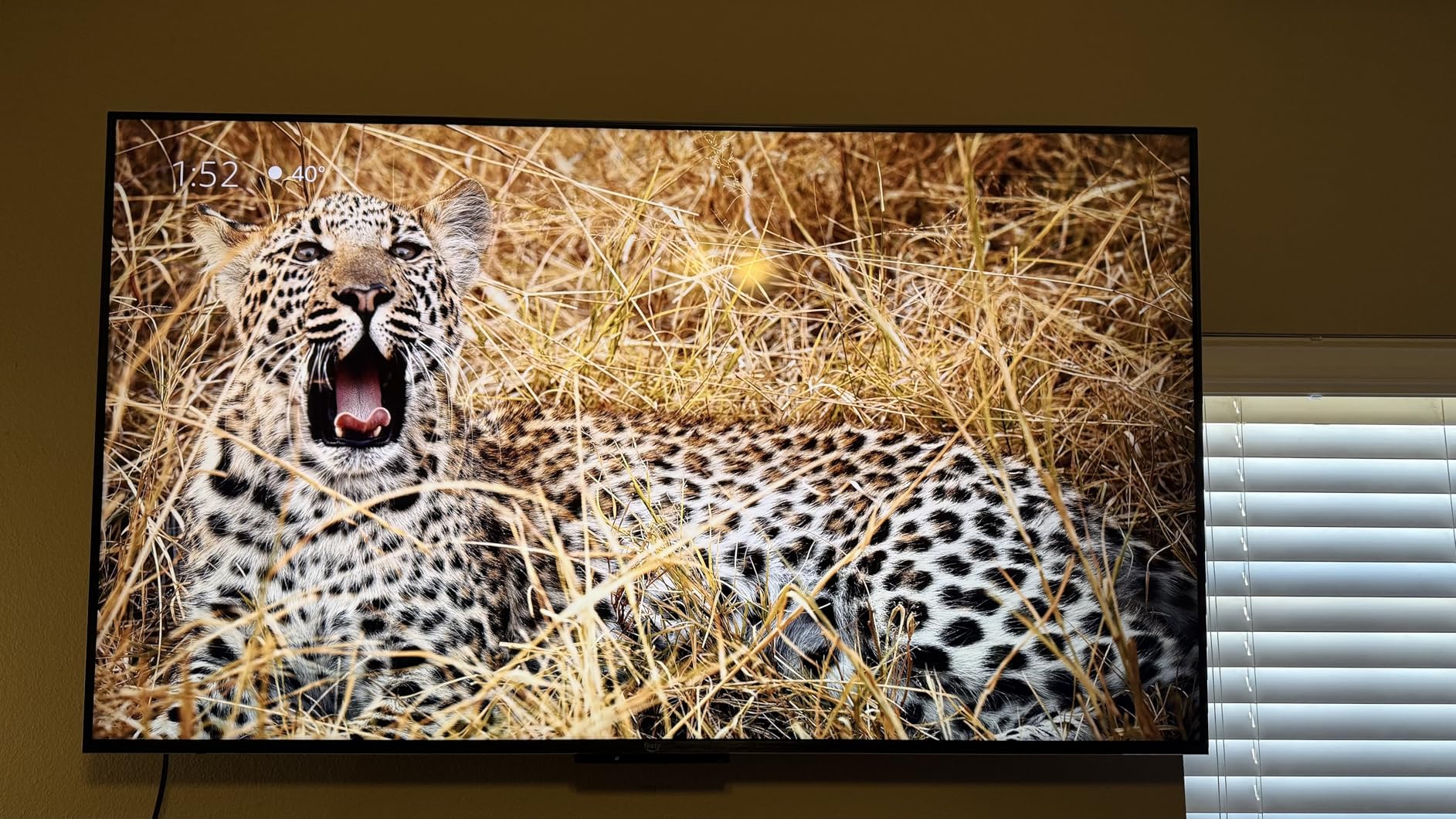 Amazon Fire TV 55