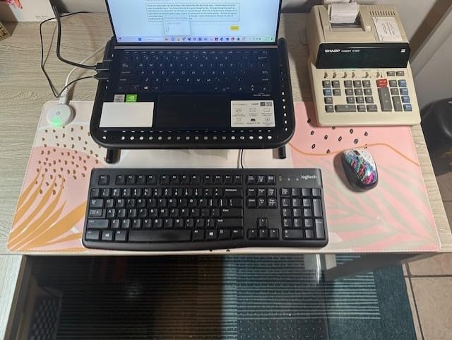 iCasso Heated Desk Pad,Heated Mouse Pad Hand Warmer, XXL Mousepad, Desk Protector Mat with 4 Heating Levels for Computer Keyboard, 35.4 iCasso Heated Desk Pad,Heated Mouse Pad Hand Warmer, XXL Mousepad, Desk Protector Mat with 4 Heating Levels for Computer Keyboard, 35.4