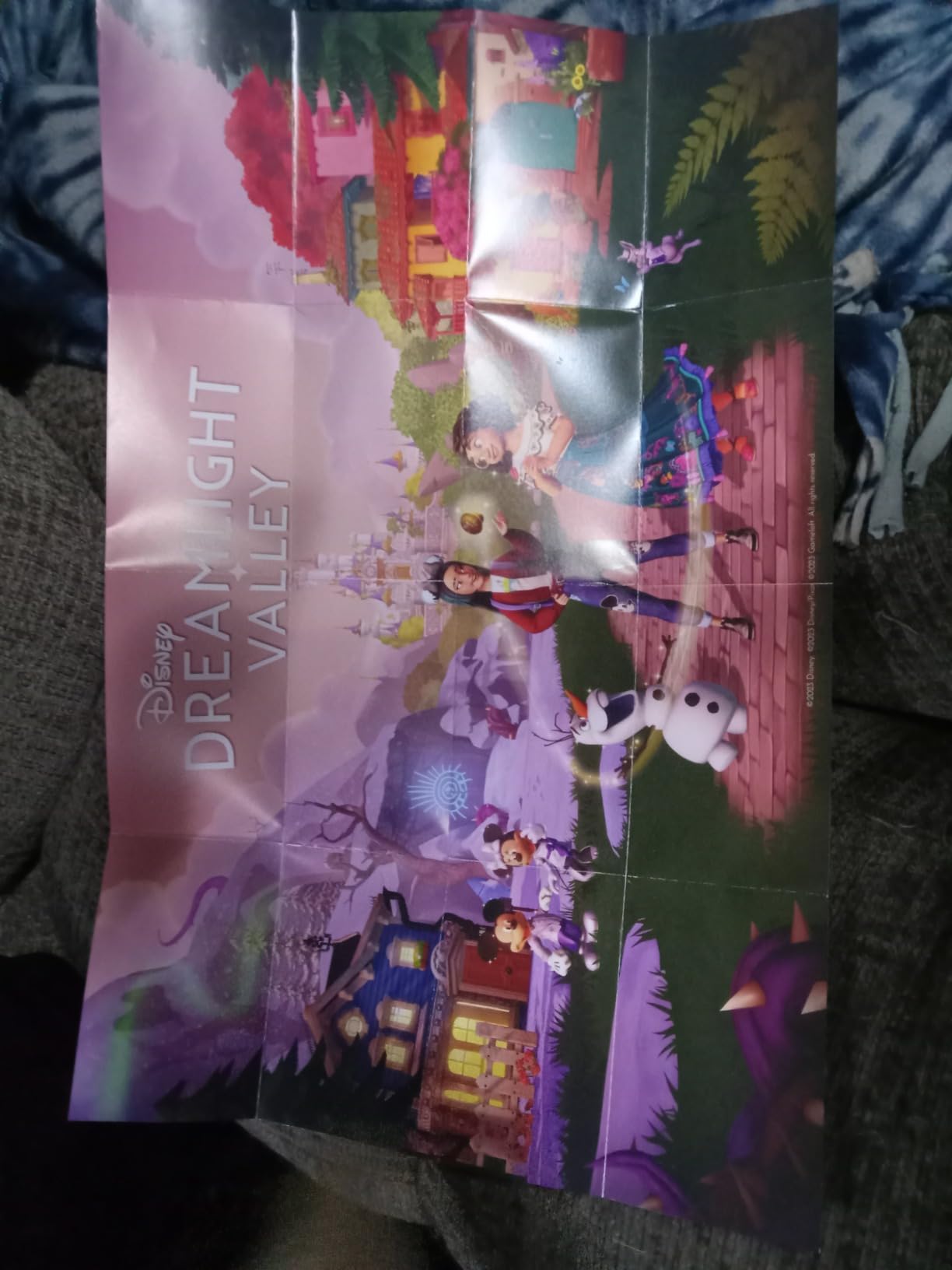 Disney Dreamlight Valley Cozy Edition CIB - Customer Photo 2