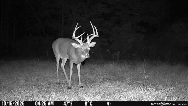SPYPOINT Flex-M Twin Pack Cellular Trail Cameras - Best Hunting Accessories, No WiFi Needed, GPS, Night Vision, Dual-Sim LTE, IP65 Water-Resistant Game Camera, 28MP Photos, 720p Videos + Sound (2) - Customer Photo 2