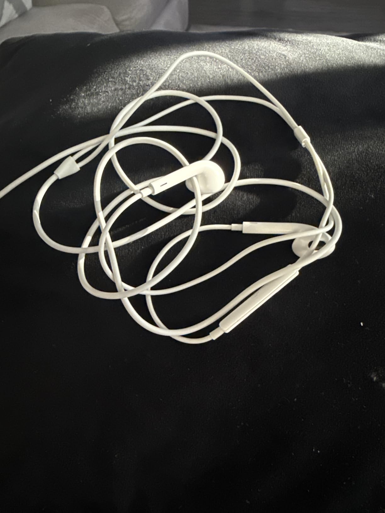 Apple EarPods Headphones with Lightning Connector customer photo 1