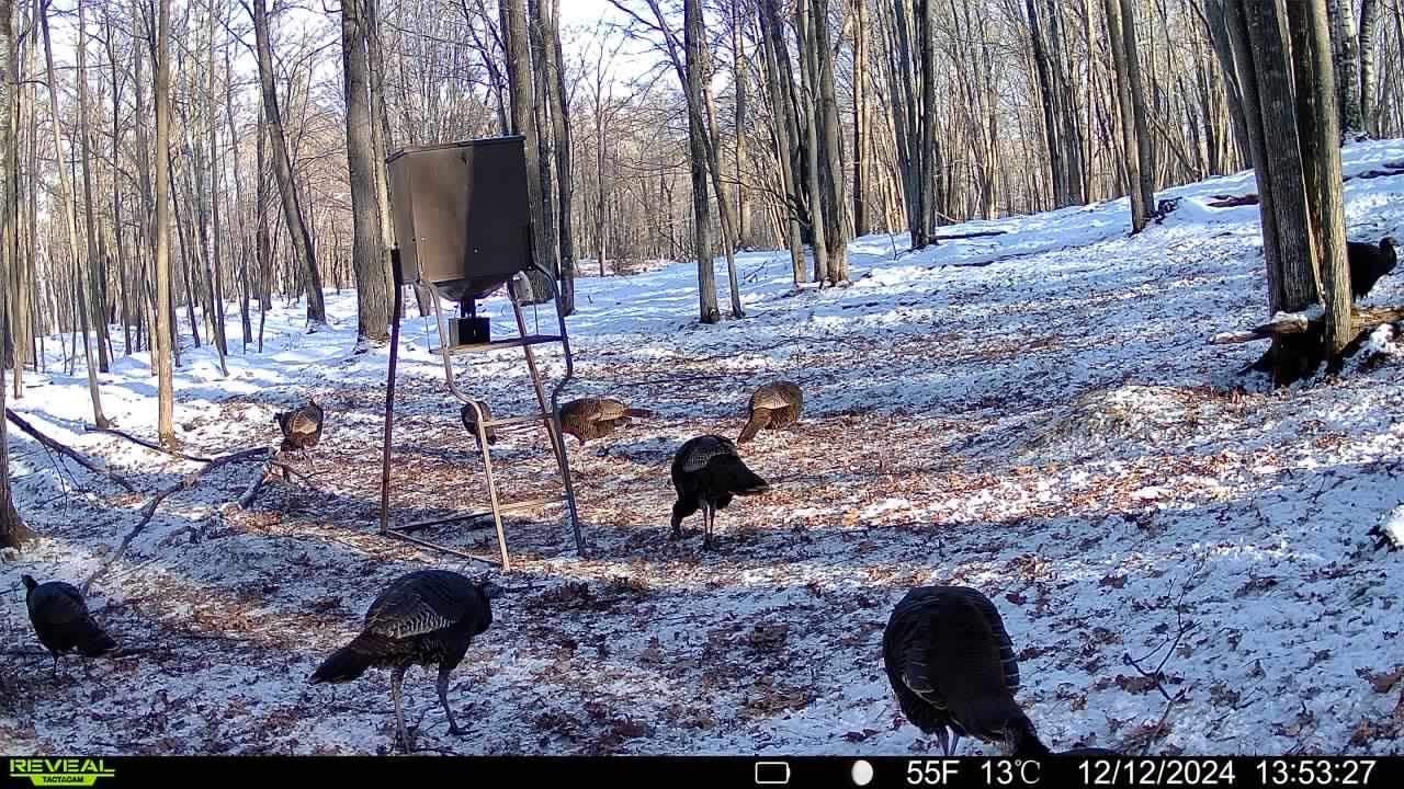 TACTACAM Reveal X Gen 3.0 Cellular Trail Camera - Multi Carrier, HD Photo & Videos, Pre-Installed Antenna, Built-in GPS, Low-Glow IR Flash + Solar Panel, Lipo Lithium Battery Pack, & 32GB SD Card - Customer Photo 1