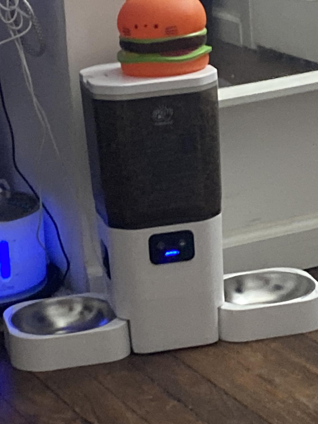 Automatic Cat Feeder with 2K Camera: 5G WiFi Automatic Dog Feeder with Night Vision,Cat Food Dispenser with 7L Large Food Storage Container for Multiple Pet,Detachable for Easy Clean -29 Cup - Customer Photo 2