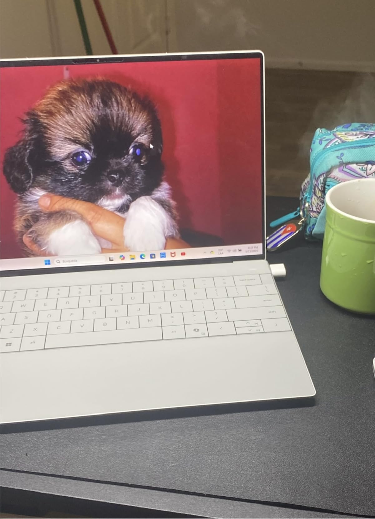 New XPS 16 9640 Powerful AI Laptop 16.3 inch OLED 4K Touch Screen 16 Cores Ultra 7 155H 32GB RAM 1TB SSD Geforce RTX 4060 Graphics Webcam Backlit Fingerprint WiFi 7 Thunderbolt 4 Win 11 Pro Platinum - Customer Photo 1