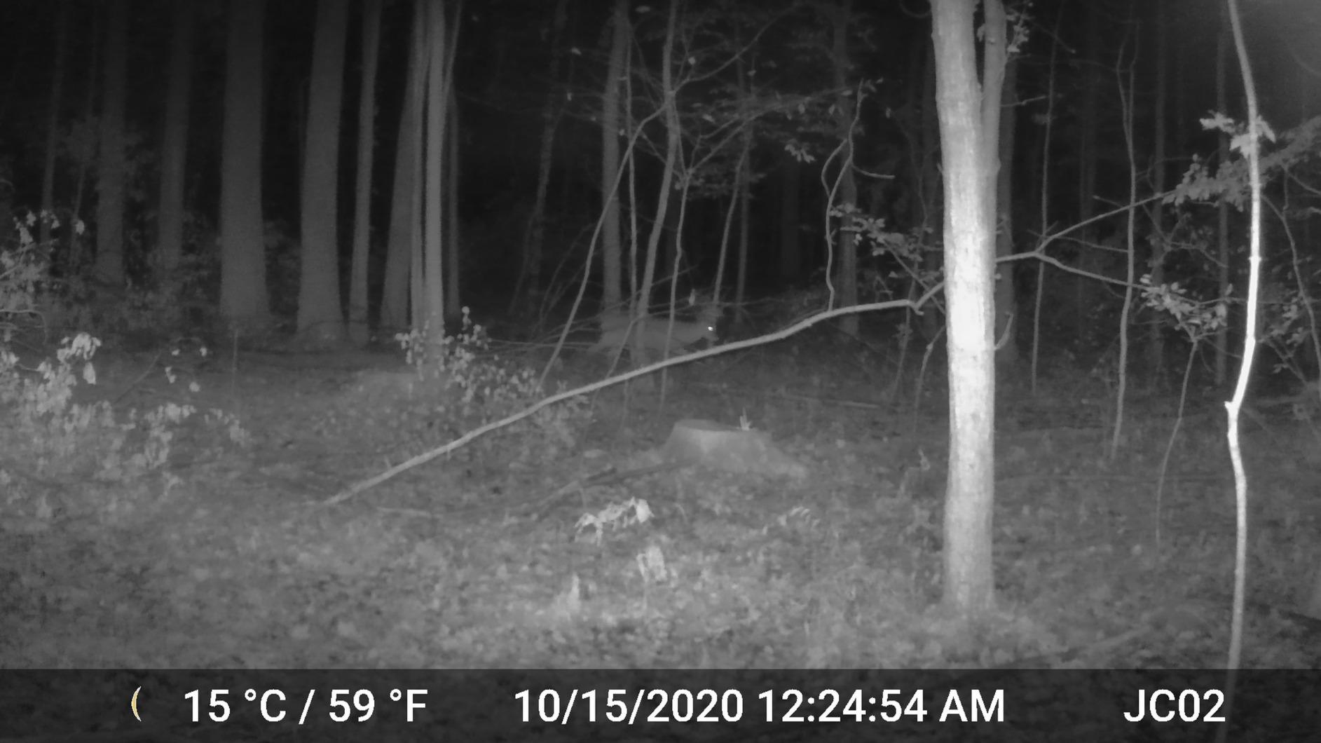 GardePro A3S Trail Camera 2 Pack, 64MP 1296p, Next-Gen Image Technology, Game Camera with Clear 100ft No Glow Night Vision, Fast 0.1s Trigger Speed Motion Activated Waterproof, H.264 MP4 Video - Customer Photo 2