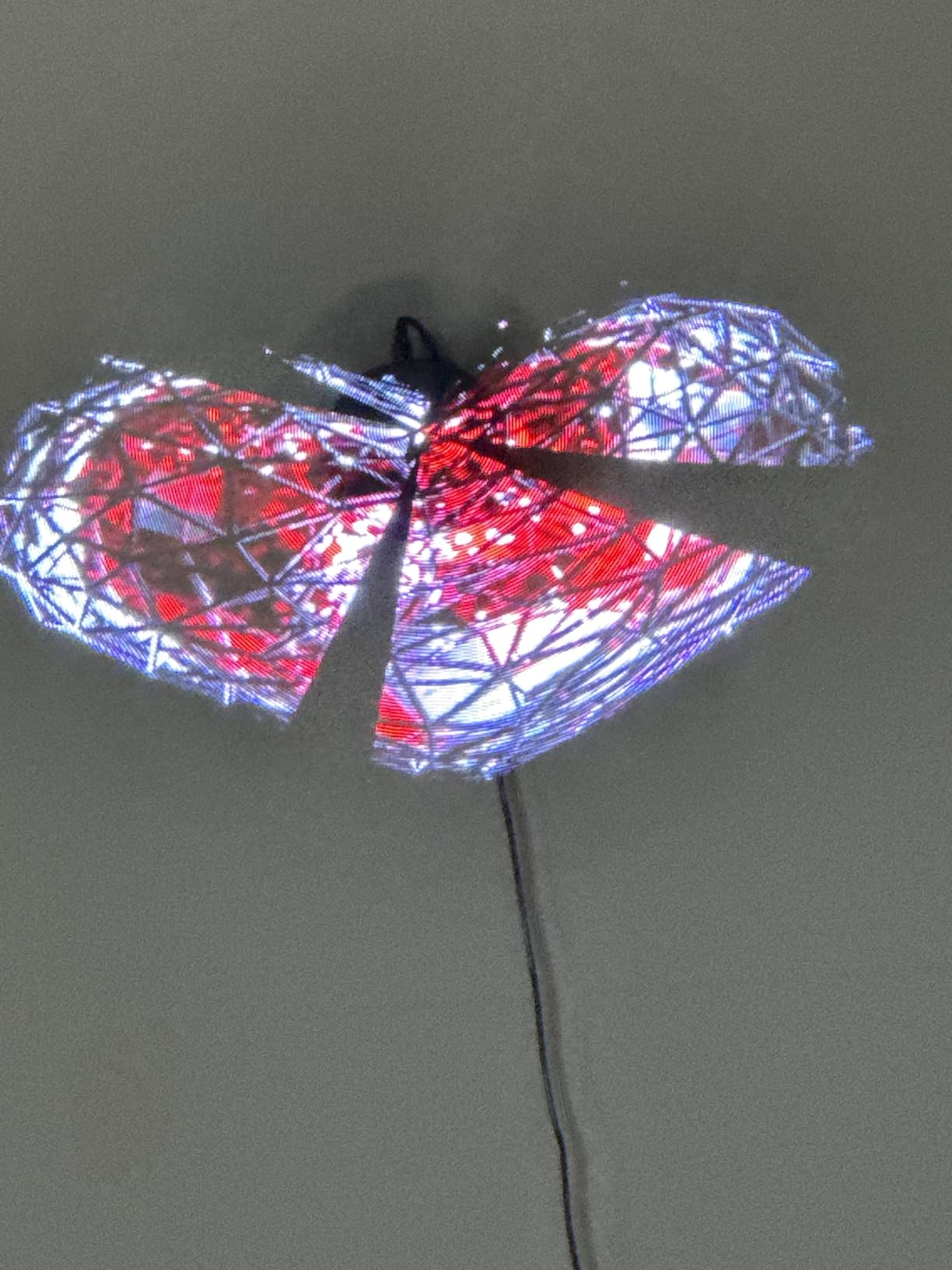 3D Hologram Fan 19.3 Inch/50cm,3D Holographic Fan with WiFi and Bluetooth,560 Highlight LEDs and 2000 cd/m² Brightness,1500 Free 3D Video,3D Hologram Projector for Store Display,Events,Exhibition - Customer Photo 1