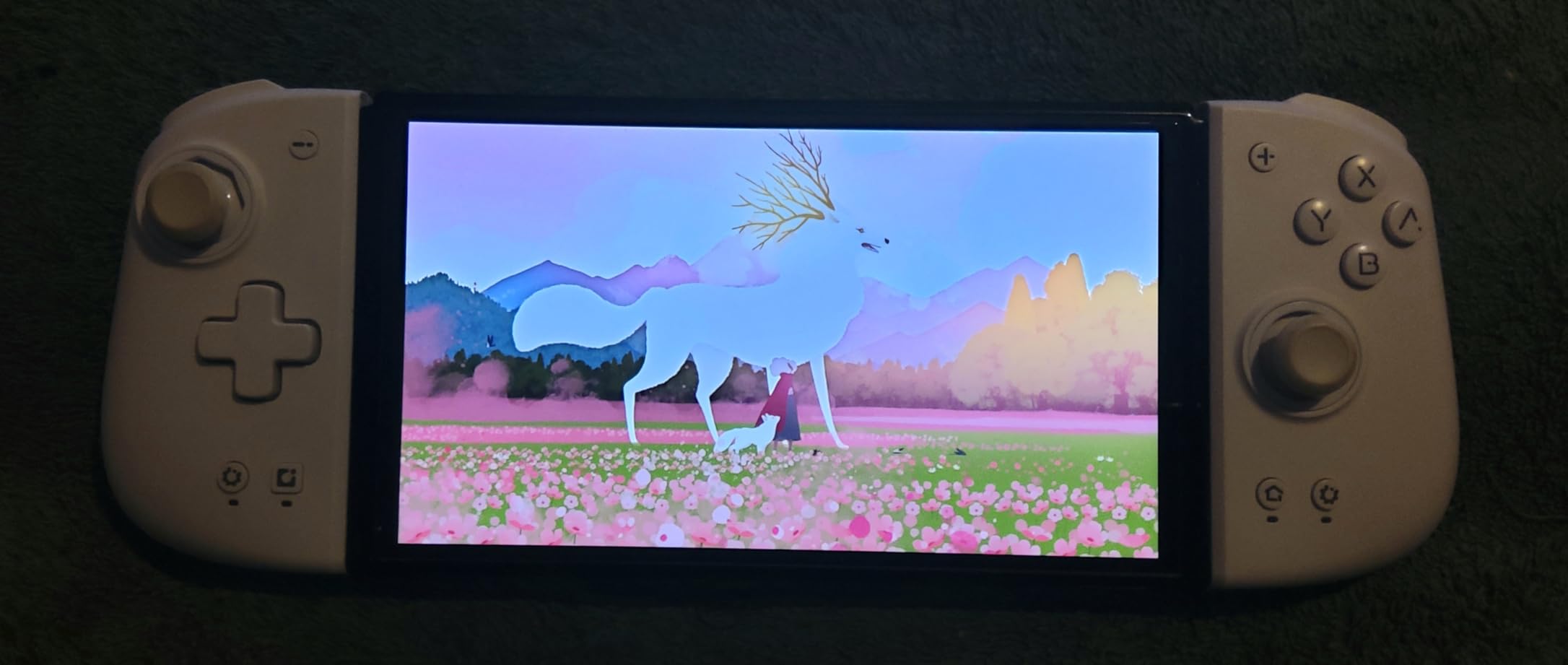 Neva - Nintendo Switch Customer Review Neva - Nintendo Switch - Customer Photo 1