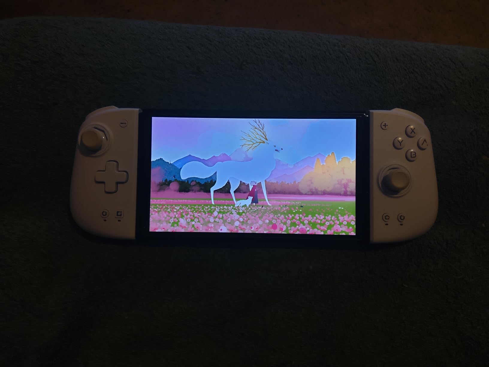 Neva - Nintendo Switch Customer Review Neva - Nintendo Switch - Customer Photo 2