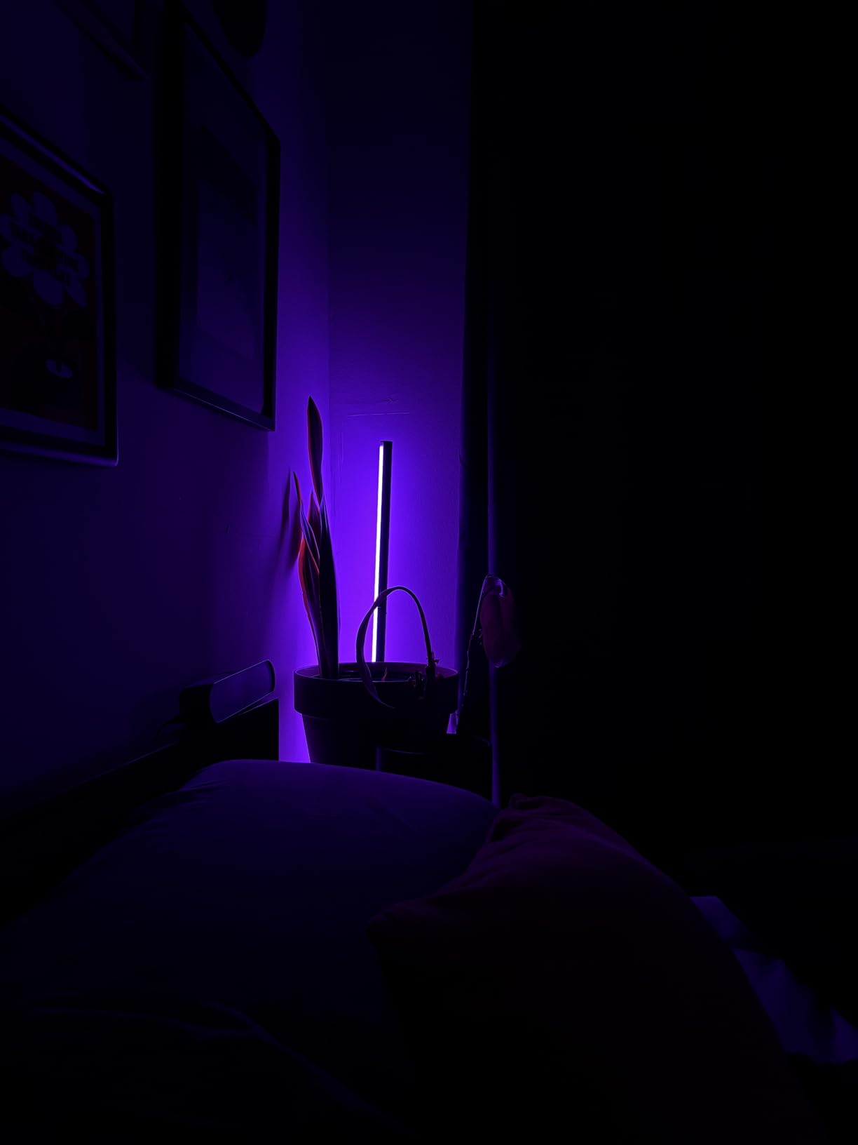Smart RGBICW LED Corner Floor Lamp - 16 Million DIY Colors, 68+ Scenes, Music Sync, App & Remote Control, Color-Changing Ambient Lighting for Living Rooms, Bedrooms, and Gaming Rooms Customer Review Smart RGBICW LED Corner Floor Lamp - 16 Million DIY Colors, 68+ Scenes, Music Sync, App & Remote Control, Color-Changing Ambient Lighting for Living Rooms, Bedrooms, and Gaming Rooms - Customer Photo 2
