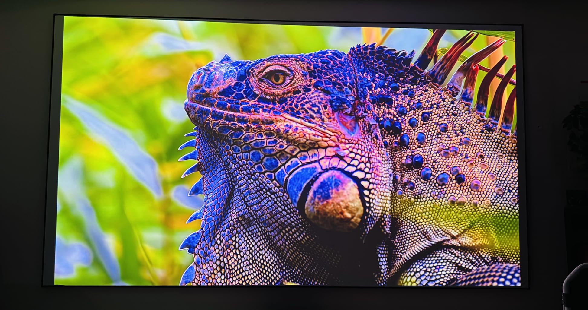 Valerion VisionMaster Pro2 Triple Laser Projector 4K,15000:1 Contrast, 0.9-1.5x Optical Zoom, 2X Multitasking Power, IMAX, HDR10+, GTV, 4ms Lag-Free Gaming, 3000 ISO Lumens, Google Home, Apple Homekit - Customer Photo 3