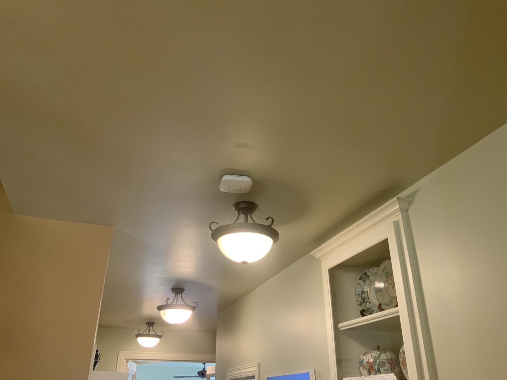 Google Nest Protect Smart Smoke and Carbon Monoxide Alarm – Split-Spectrum Sensor, App Alerts, Voice Notifications, Battery Operated, White, Includes Cleaning Cloth - Customer Photo 1