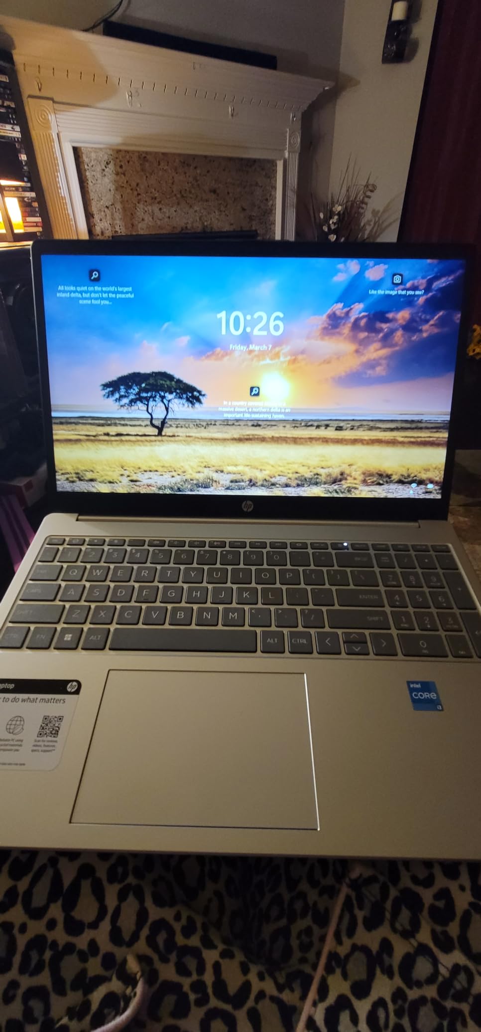 HP 15.6