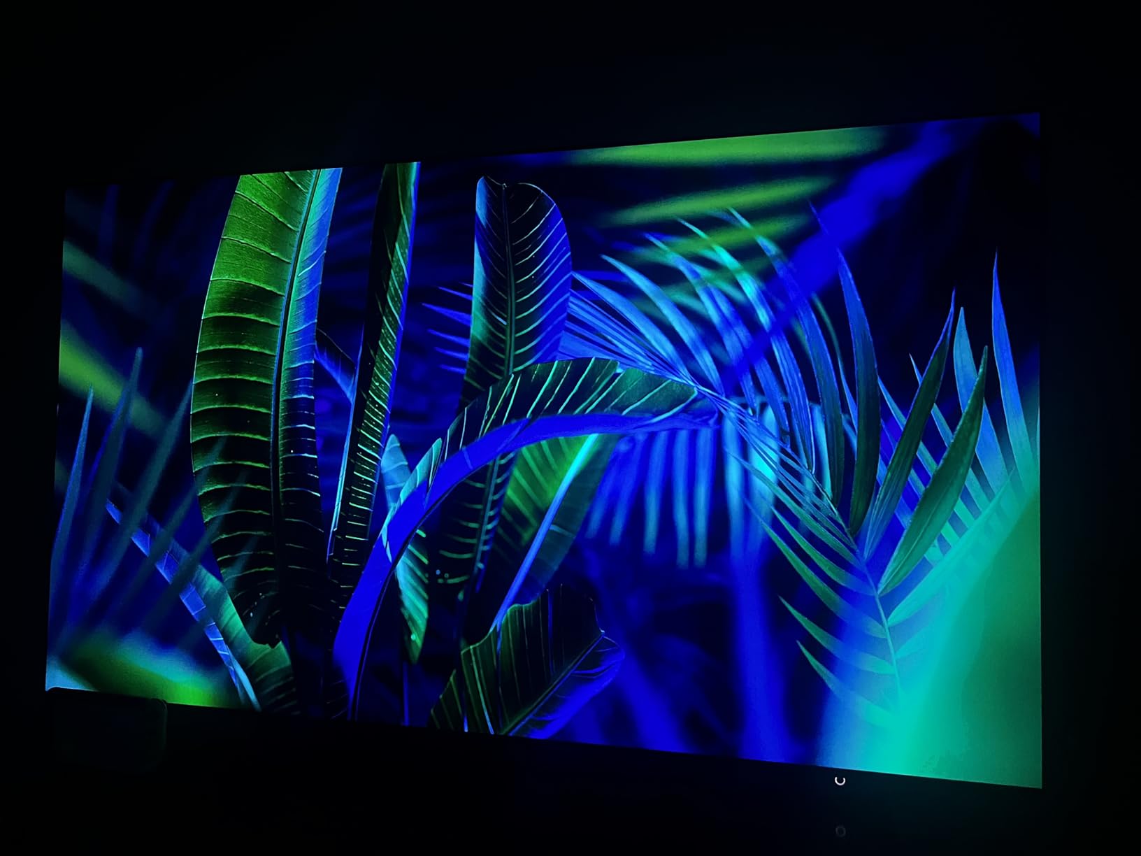SAMSUNG 55-Inch Class OLED S95F 4K Glare Free Smart TV (2025 Model) NQ4 AI Gen3 Processor, OLED HDR Pro, Motion Xcelerator 164Hz, Dolby Atmos, Samsung Vision AI, Alexa Built-in - Customer Photo 2