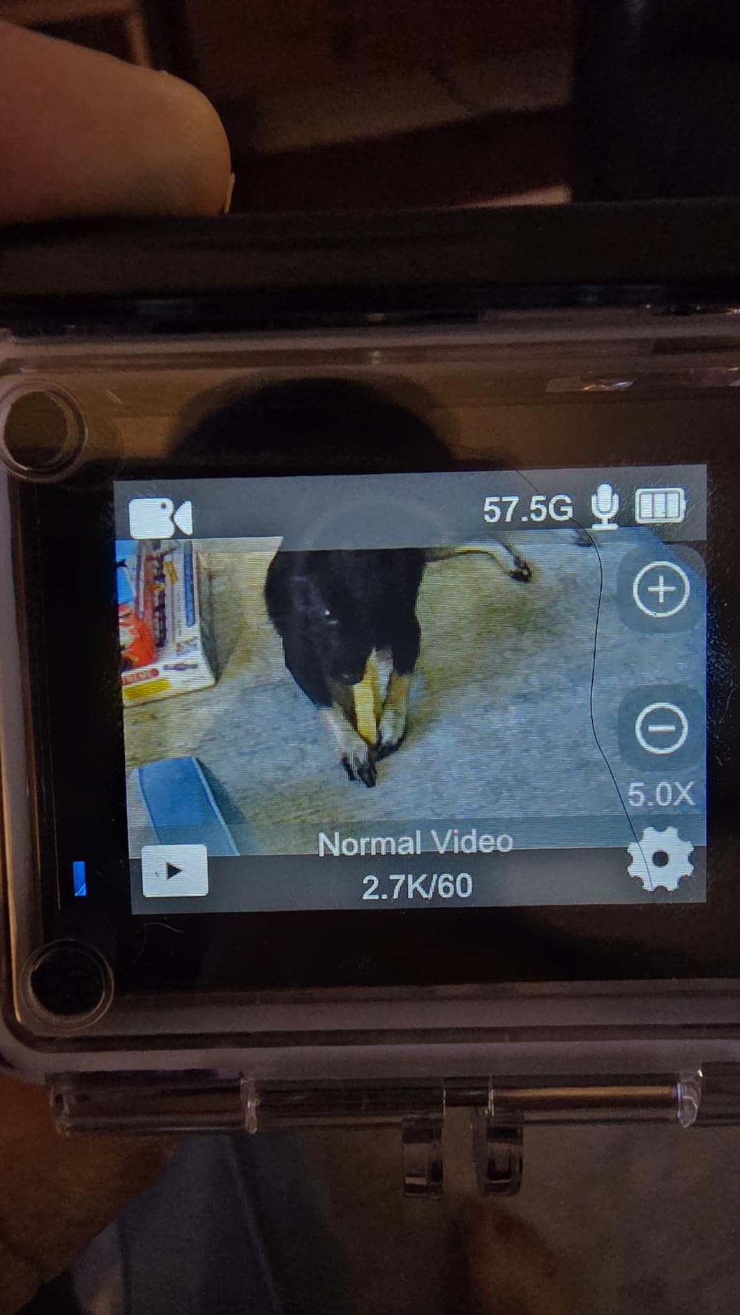 ODDV 4K60FPS 30MP Action Camera with Front LCD and Touch Rear Screens, Underwater Camera with 64GB Memory Card, 132FT Waterproof Camera, EIS, 5X Zoom, WiFi Remote Control (Black) - Customer Photo 4