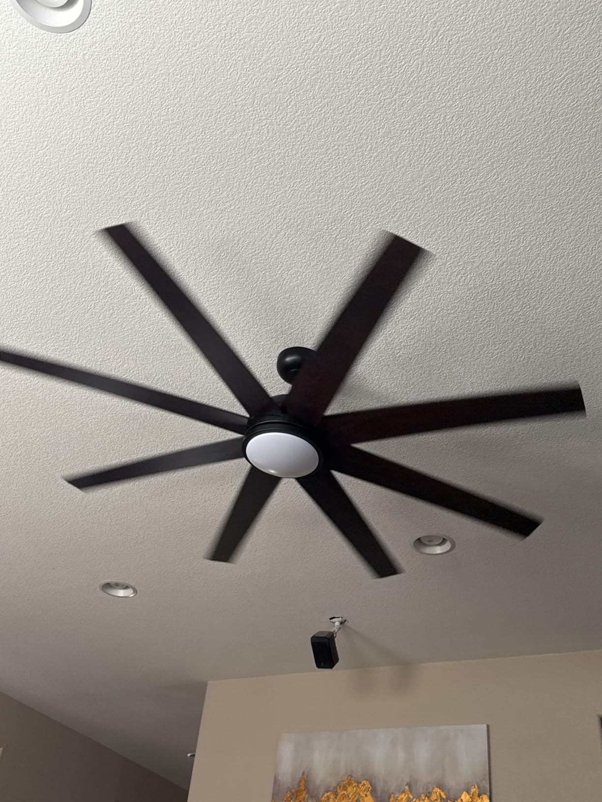 Fanbulous 60 Inch RGB Ceiling Fans with Lights and Remote&APP Control, Black Smart Ceiling Fan with Quiet Reversible DC Motor, 6 Speeds, 3CCT, Dimmable, Large Ceiling Fan for Living Room Bedroom - Customer Photo 4