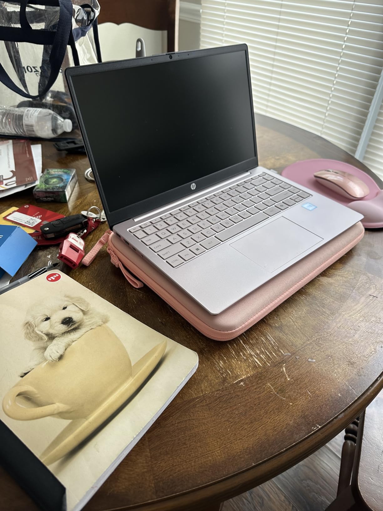 HP 14 Ultrabook • Back to School Limited Edition w/Microsoft 365 • Intel 4-Core CPU • 16GB RAM • 1.6TB Storage (128GB OnBoard w/ 512GB Portable Drive + 1TB OneDrive) • Rose Gold • Win 11 - Customer Photo 2