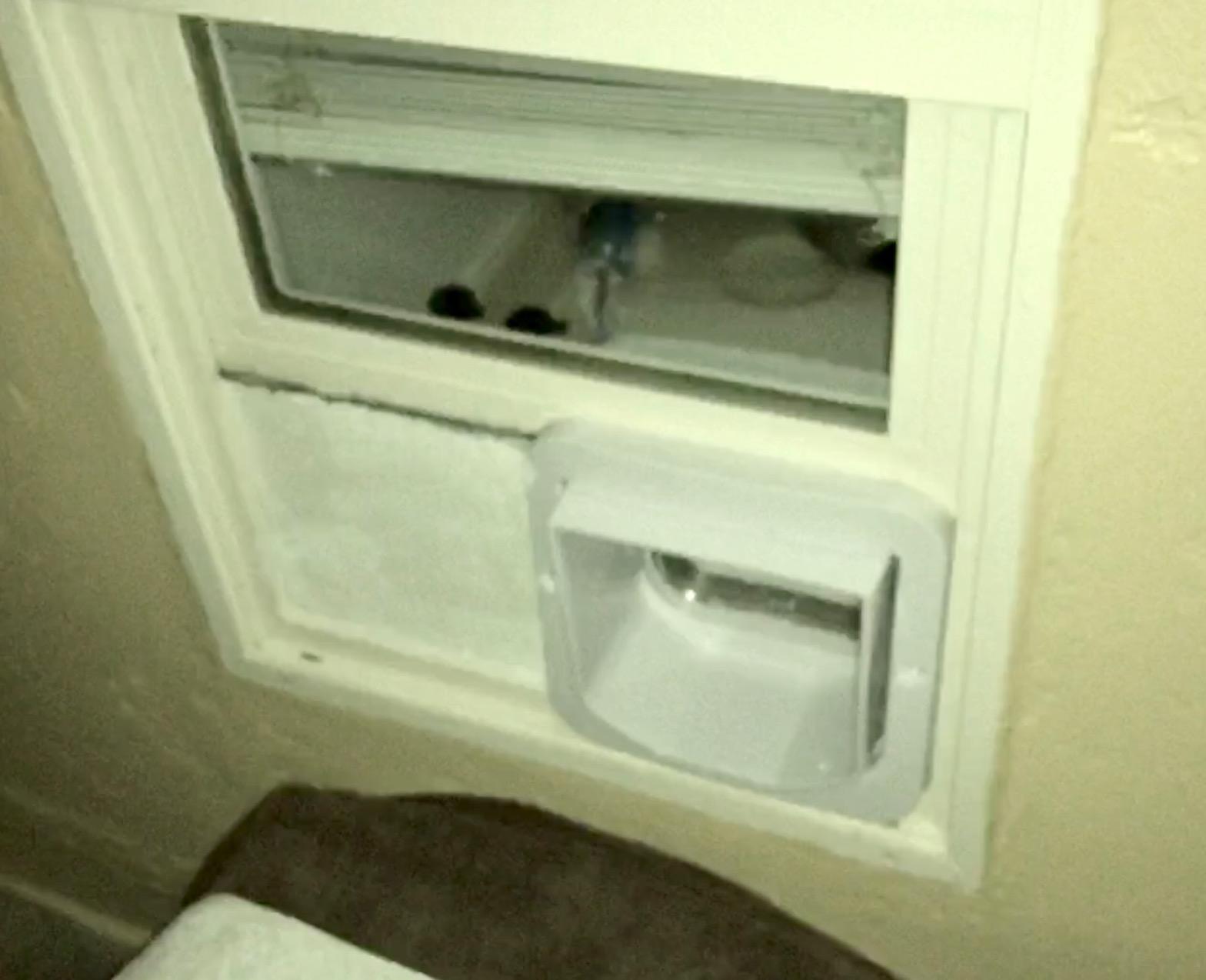 SureFlap - Sure Petcare Microchip Cat Flap, White, Scans Pet's ID on Entry, Check Your Cat's Size,Flap Opening is 4 3/4