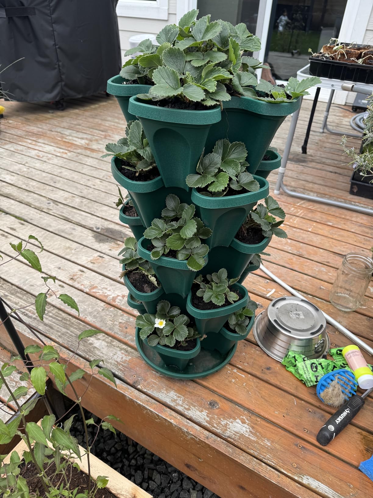 Mr. Stacky 5 Tier Stackable Strawberry, Herb, Flower, and Vegetable Planter - Vertical Garden Indoor/Outdoor customer photo 1