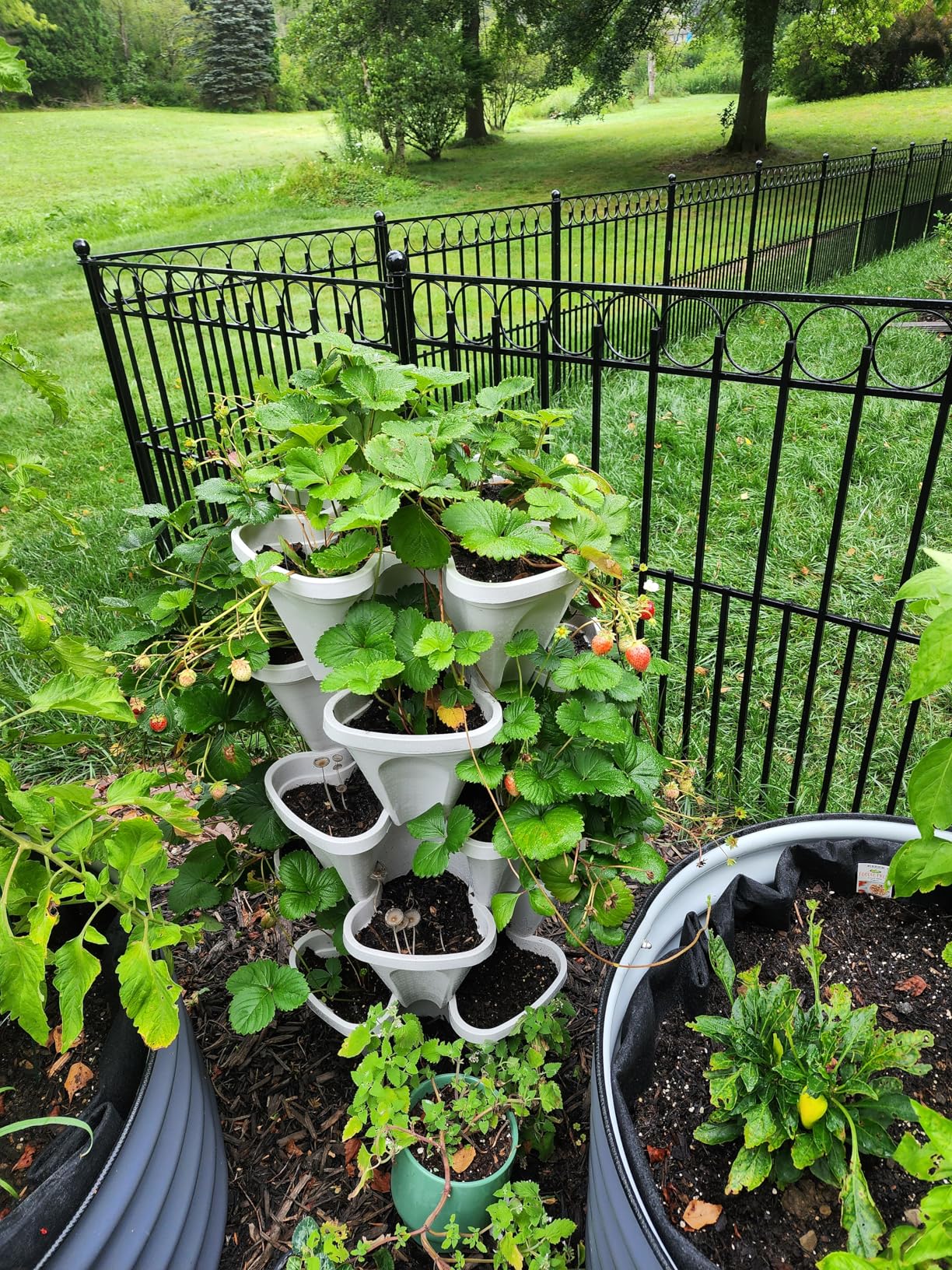 Mr. Stacky 5 Tiered Vertical Gardening Planter, Indoor & Outdoor customer photo 2