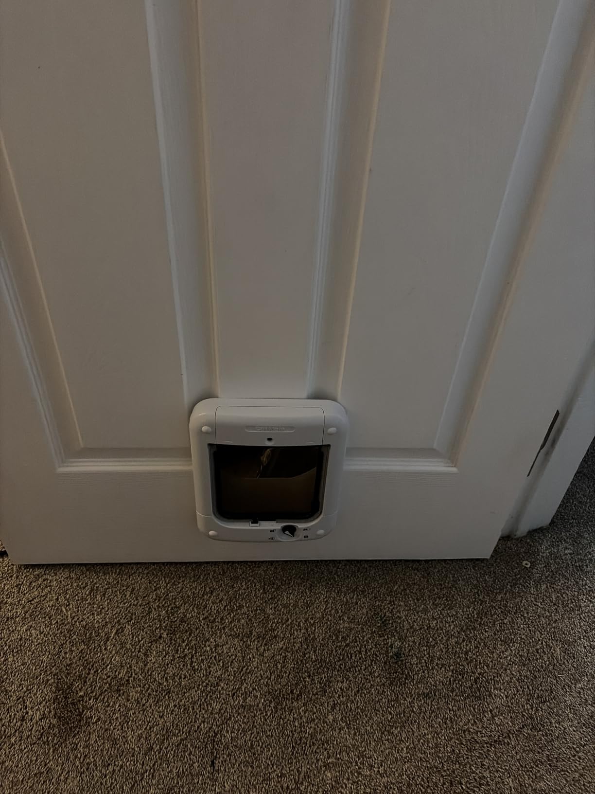 Cat Mate Microchip Activated Cat Flap (360) - ISO and AVID Compatible, Entry Control of up to 30 Cats or Small Dogs customer photo 2