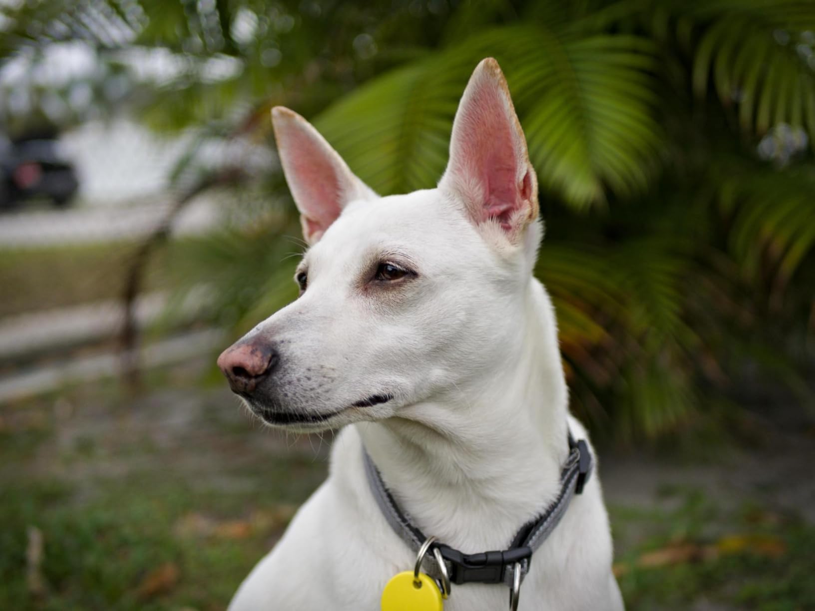Panasonic LUMIX G Lens, 25mm, F1.7 ASPH, Mirrorless Micro Four Thirds, H-H025K (USA Black) customer photo 2