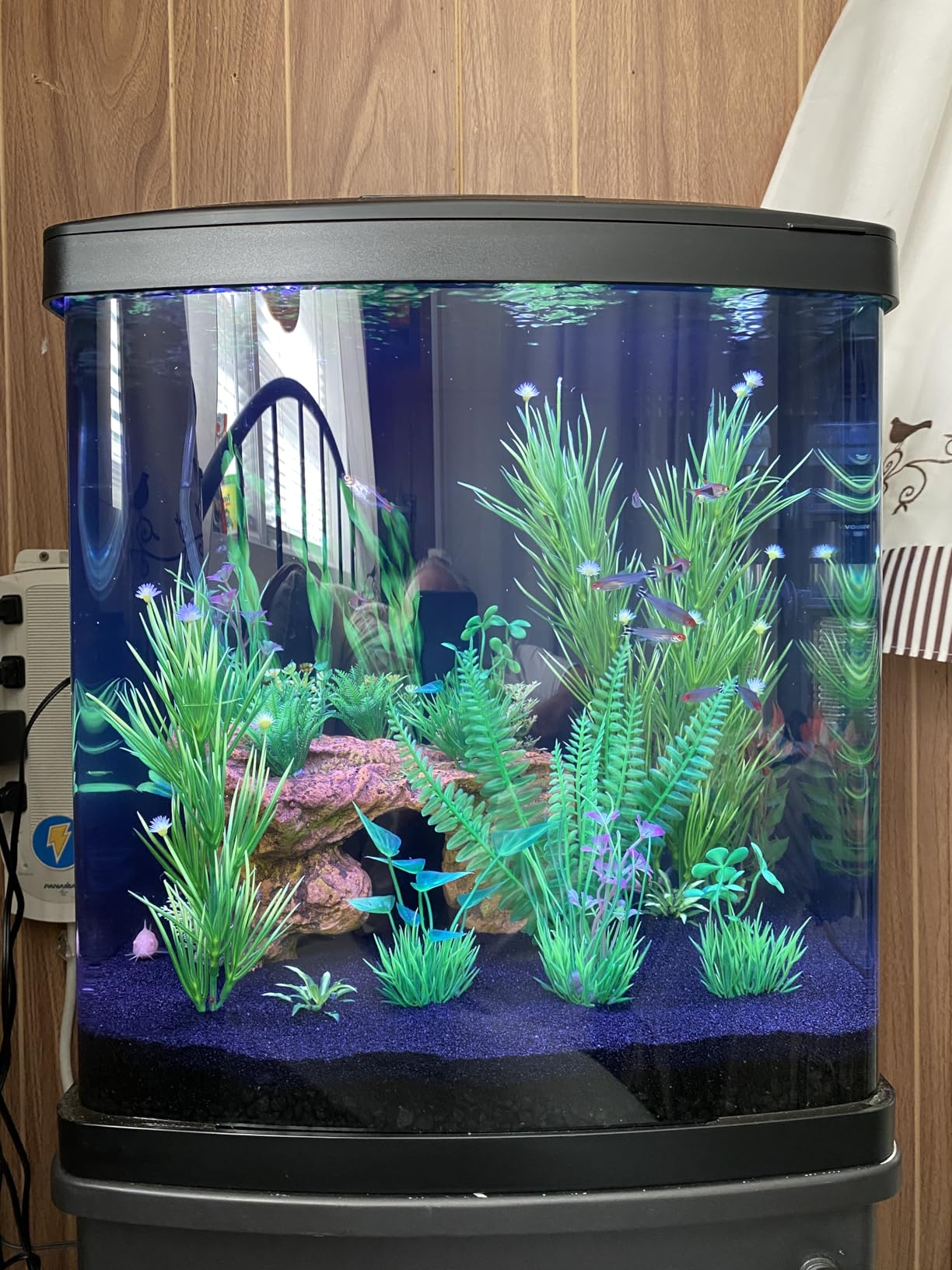 Coralife BioCube, Aquarium Kit, Integrated 24-hour Timer, Customizable LED Lighting, for Saltwater and Freshwater Environments, 32 Gallons customer photo 2