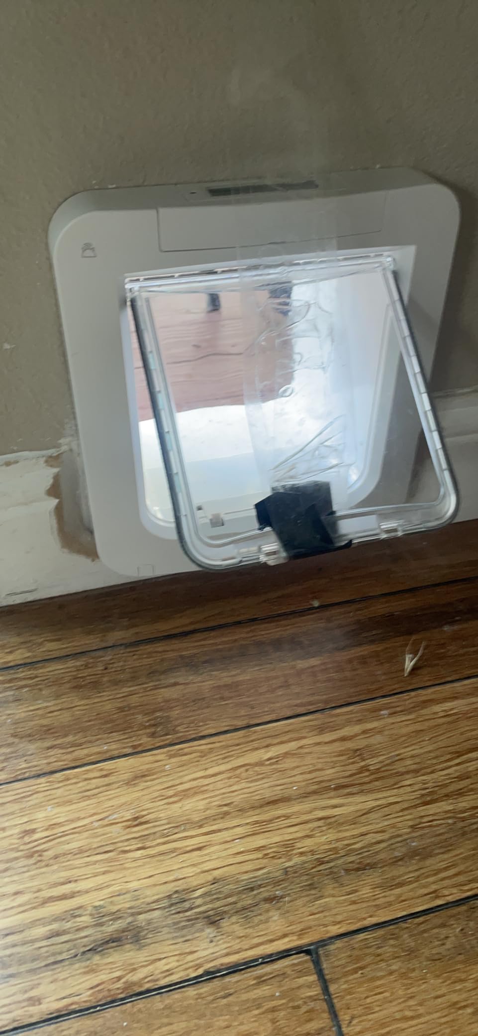 SureFlap Microchip Pet Door Connect Without Hub - Flap Opening is 6 3/4 inches by 7 inches customer photo 1