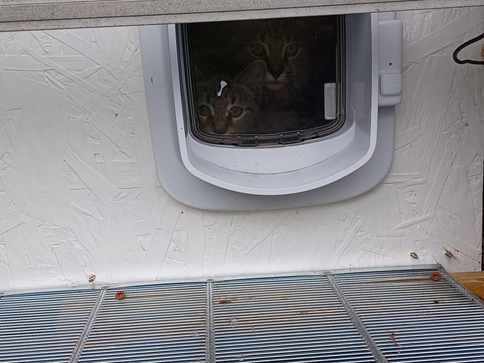 PetSafe Microchip Cat Door, Exterior or Interior Pet Door - Multi-User RFID Access Up to 40 Pets, 4-Way Locking, Weatherproof, DIY Easy Install customer photo 1
