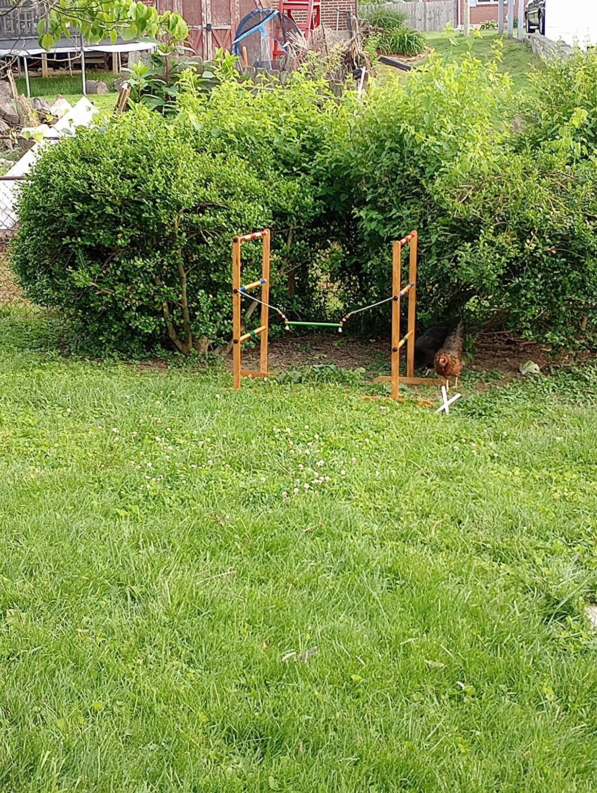 Ladder Toss Double Wooden Ladder Ball Game with Finished Wood Frame and Real Golf Ball Bolas and Durable Nylon Carrying Case customer photo 1