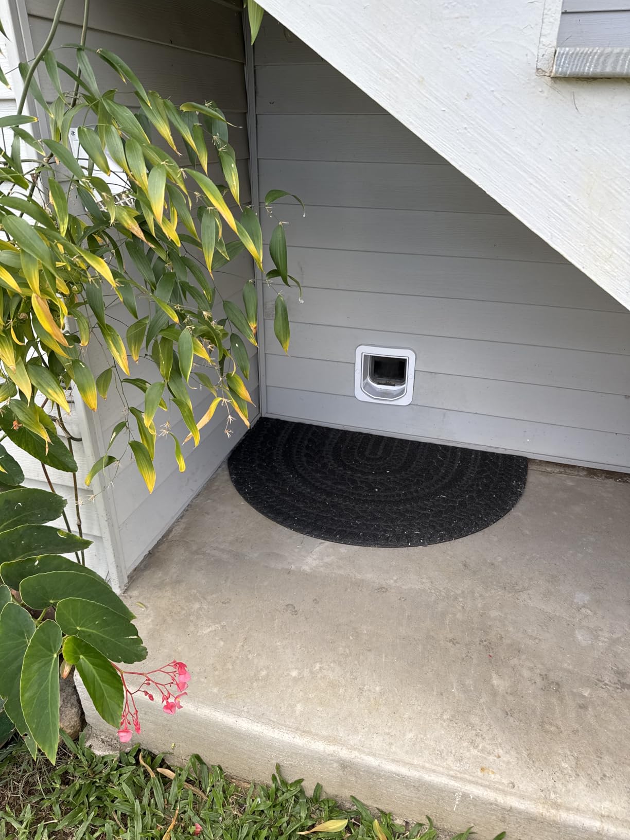 SureFlap Microchip Cat Door Connect with Hub Bundle - Door Opening: The Microchip Cat Door Flap Opening is 5 5/8