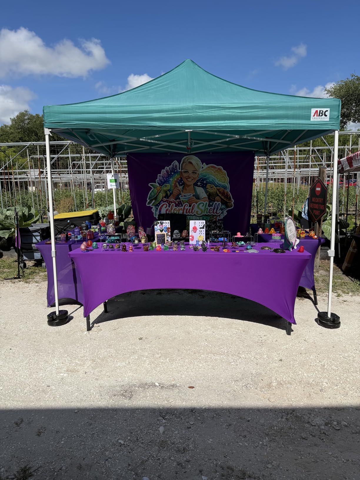 ABCCANOPY Easy Pop Up Canopy Tent with Sidewalls 10x10 Commercial-Series, White customer photo 1