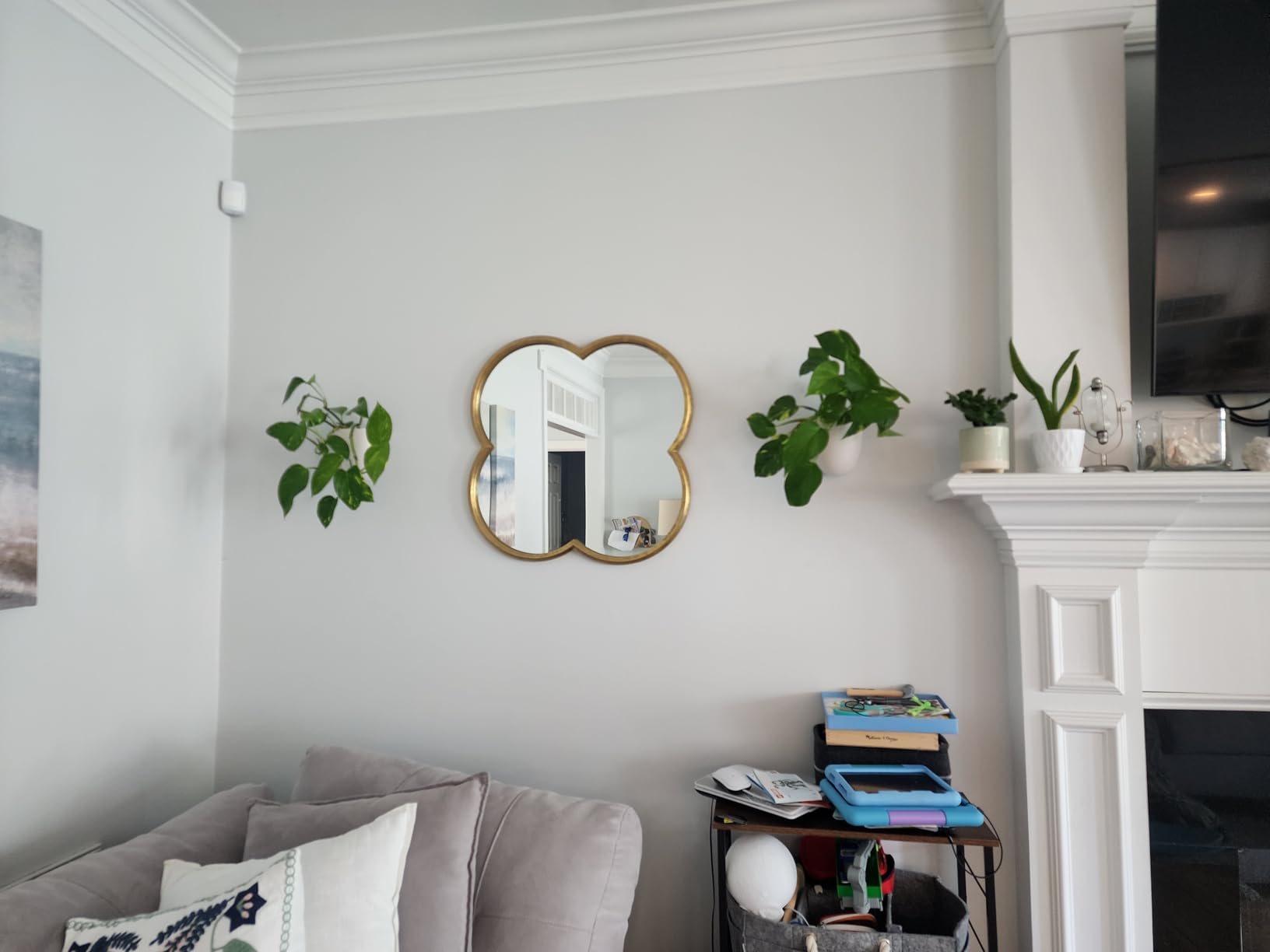 Make Good PlantPod Luxe - Self-Watering Wall Planters (Set of 6) - Easy to Water and Install - Lightweight - Design Your Own Vertical Garden - Wall Planters for Indoor Plants customer photo 2