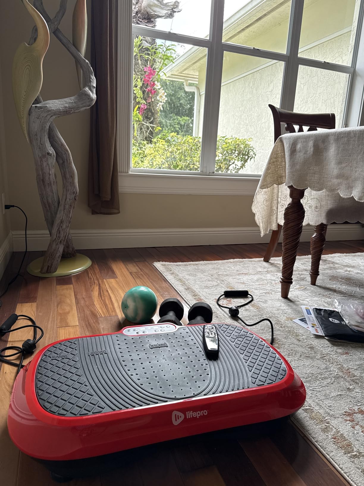 Lifepro Waver Vibration Plate Exercise Machine - High-Intensity Vibration Plate for Lymphatic Drainage - Full-Body Workout Vibrating Platform with Loop Bands - Fitness Equipment for Strength & Toning customer photo 1
