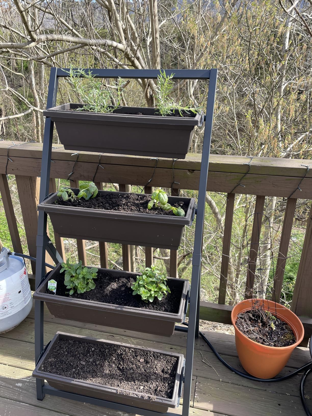 Outland Living 4-Ft Raised Garden Bed - Vertical Garden Freestanding Elevated Planters 4 Container Boxes - Good for Patio Balcony Indoor Outdoor - Perfect to Grow Vegetables Herbs Flowers customer photo 2
