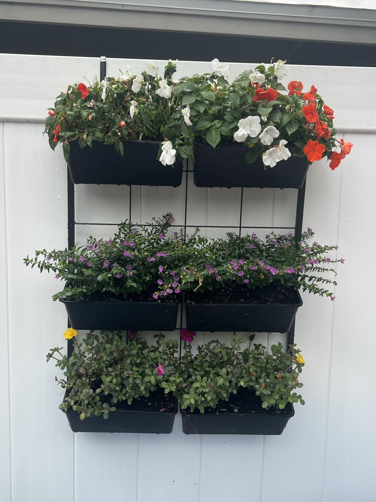 Vertical Garden Wall Planter. Ideal Indoor or Outdoor Container Gardening. Includes 6 Removable Pots and Wall Mounted Metal Frame. Self Draining Garden for Vegetables, Flowers or Herbs. customer photo 1