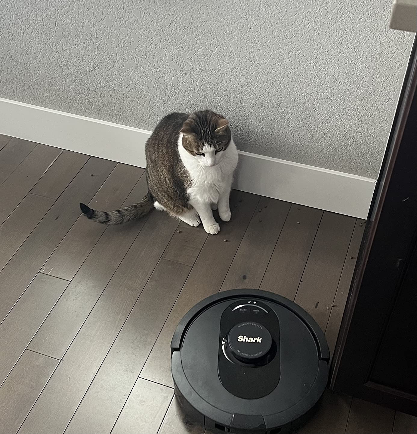 Shark AV2501S AI Ultra Robot Vacuum, with Matrix Clean, Home Mapping, 30-Day Capacity HEPA Bagless Self Empty Base, Perfect for Pet Hair, Wi-Fi, Dark Grey customer photo 2