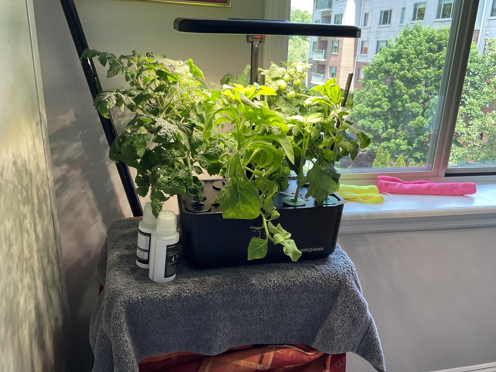 Ahopegarden Indoor Garden Hydroponics Growing System: 10 Pods Plant Germination Kit Herb Vegetable Growth Lamp Countertop with LED Grow Light customer photo 2
