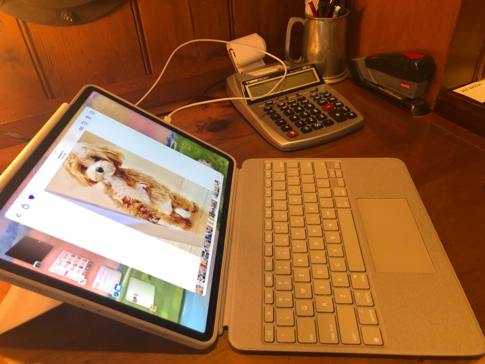 Apple 2022 iPad Pro (12.9-inch, Wi-Fi, 256GB) - Space Gray (Renewed) customer photo 1
