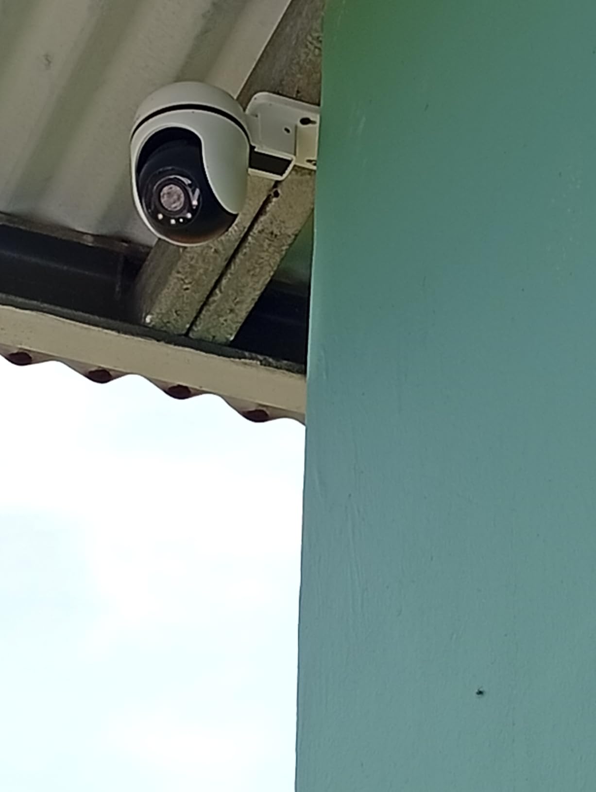 Tapo 1080P Outdoor Wired Pan/Tilt Security Wi-Fi Camera, 360° View, Motion Tracking, Works with Alexa & Google Home, Night Vision, Free AI Detection, Cloud & SD Card Storage (up to 512GB), Tapo C500 customer photo 1