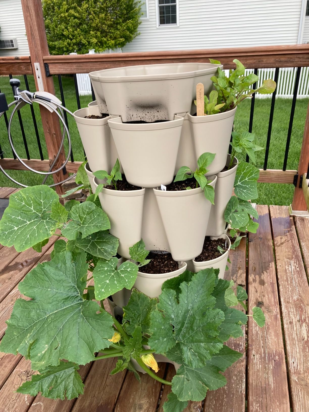 Greenstalk Patented Large 5 Tier Vertical Garden Planter with Patented Internal Watering System Great for Growing a Variety of Strawberries, Vegetables, Herbs, & Flowers (Evergreen) customer photo 2