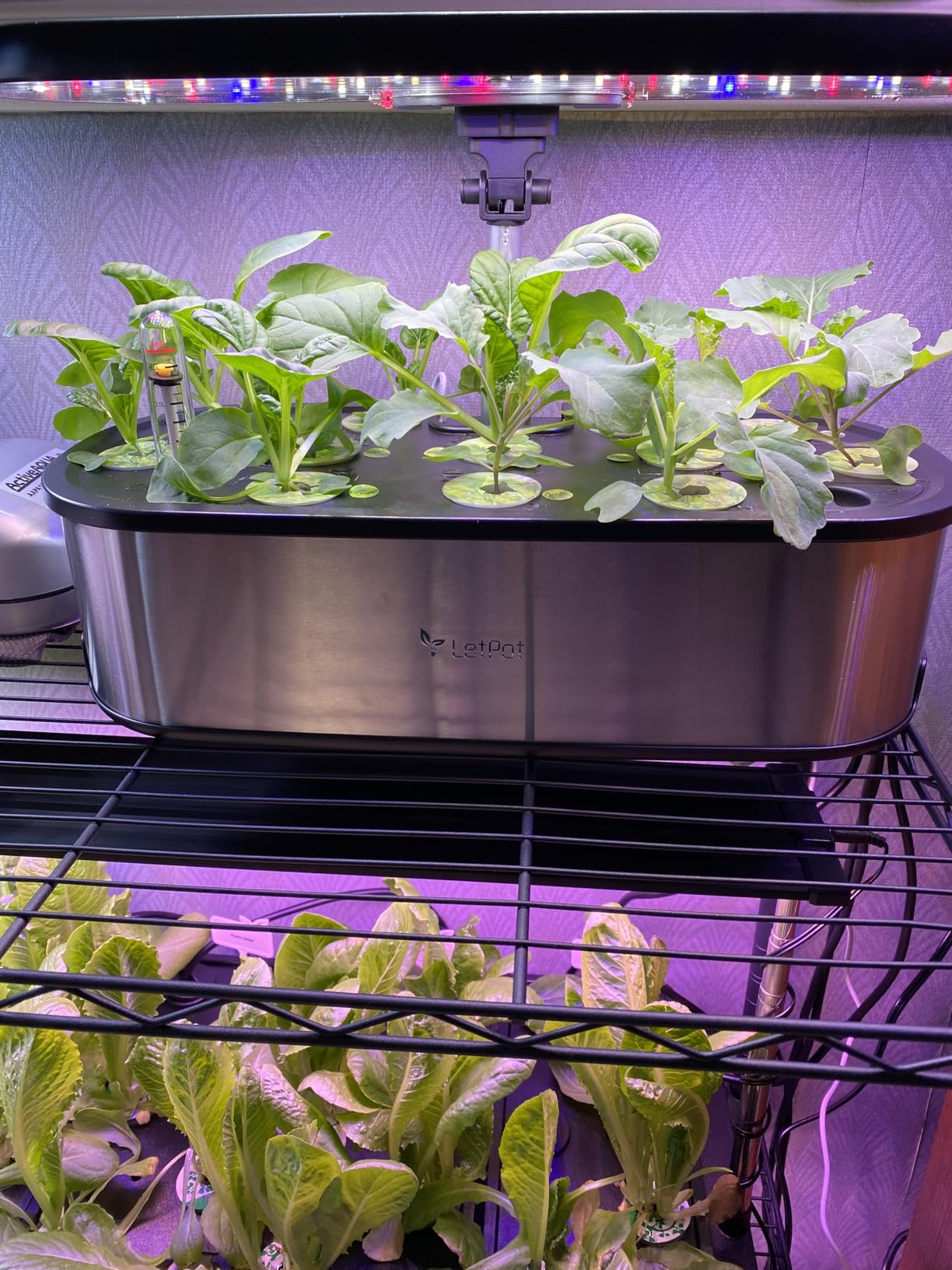 LetPot LPH-Max Hydroponics Growing System Kit, 21 Pods APP & WiFi Automatic Controlled Smart Indoor Garden with 36W LED Grow Light, Auto Drip Irrigation Kits customer photo 2