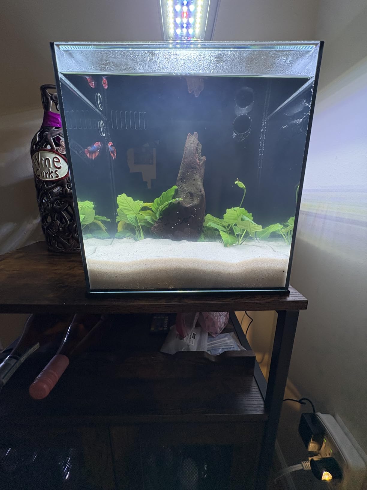 Ultum Nature Systems Dual AIO - Freshwater/Saltwater Compatible All in One Rimless Tank with Triple Chamber Filtration System, Integrated Filter Aquarium w/Leveling Mat - 17 Gallon, 40A, Black customer photo 2