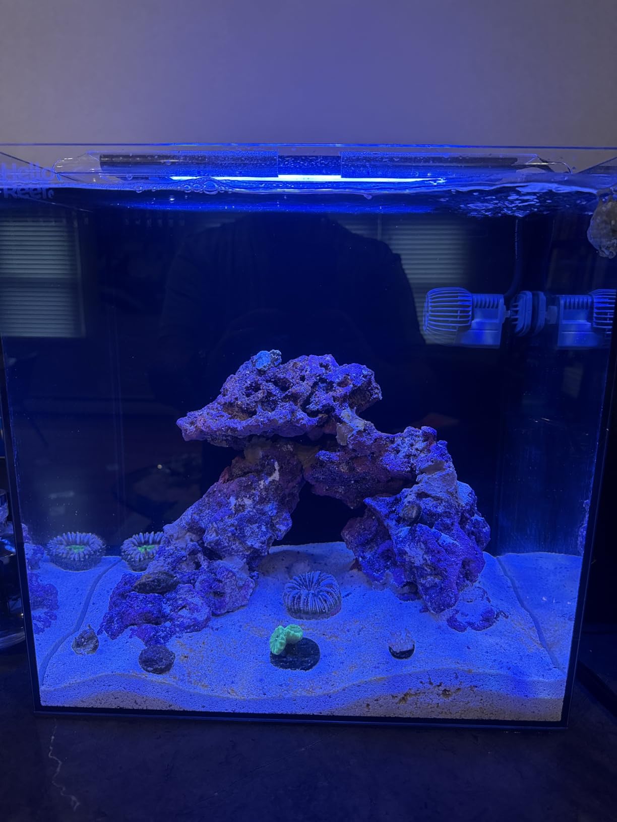 HelloReef 15 Gallon Beginner Clownfish Saltwater Aquarium Kit with App Controlled Smart LED Lighting, Filtration, Decor, and Setup Guide customer photo 1