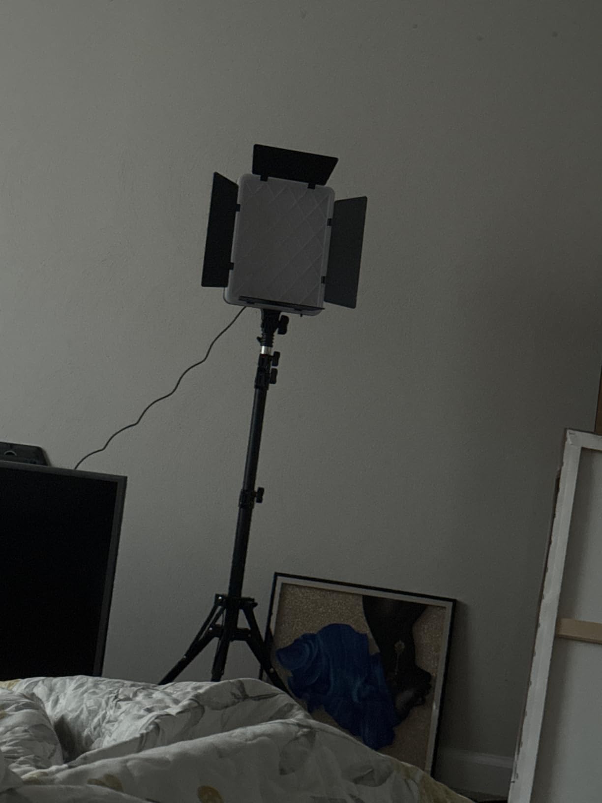 NiceVeedi 2-Pack Photography Lighting Kit, 36W Bi-Color Studio Lights 2700-6500K CRI 95+, Dimmable LED Video Light Kit with Remote Control & 72” Tripod Stand, Lighting for Video Recording/Photography customer photo 2