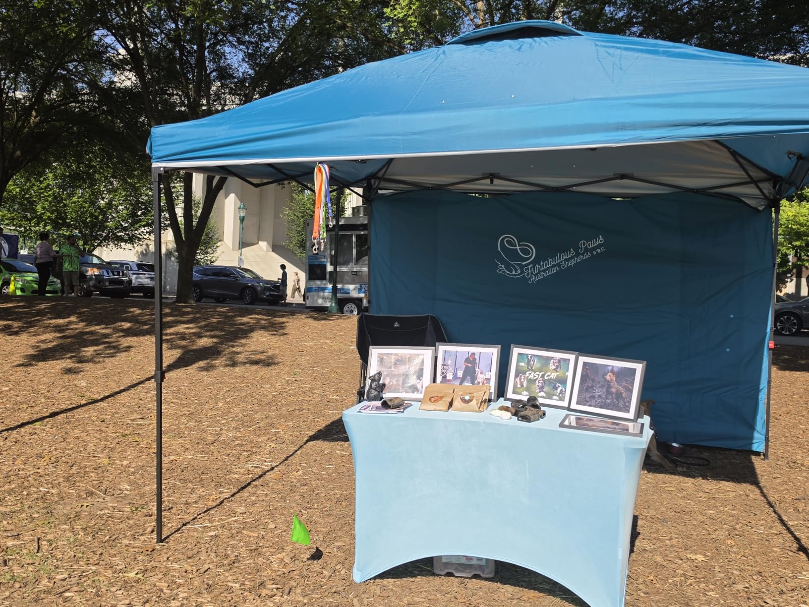 Best Choice Products 10x10ft Pop Up Canopy Tent with Sidewall, 1 Person 1 Minute Set Up, Carry Case, 4 Weight Bags - Amethyst Purple customer photo 1